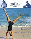 The 28 Day Plan