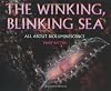 Winking, Blinking Sea
