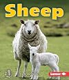 Sheep (First Step Nonfiction: Farm Animals)