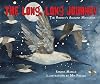 The Long, Long Journey: The Godwit’s Amazing Migration