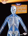 Your Skeletal System (Searchlight Books: How Does Your Body Work?)
