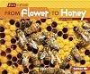 From Flower to Honey (Start to Finish: Second Series)