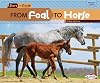 From Foal to Horse (Start to Finish: Second Series)