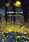 A Matter of Souls (Fiction - Young Adult)