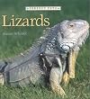 Lizards (Perfect Pets)