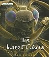 The Insect Class (Family Trees)
