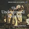 The Underground Railroad (Turning Points in U.S. History)