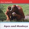 Apes and Monkeys (Zoo Animals)