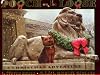 Pooch on the Loose: A Christmas Adventure