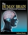 The Human Brain: Essentials of Behavioral Neuroscience