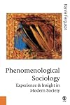 Phenomenological Sociology: Experience and Insight in Modern Society (Published in association with Theory, Culture & Society)
