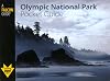 Olympic National Park Pocket Guide (Falcon Pocket Guides Series)