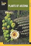 Plants of Arizona (Falcon Guides)