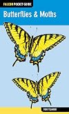 Butterflies & moths