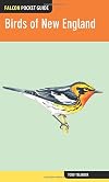 Birds of New England