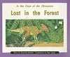 Lost in the Forest