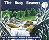 The Busy Beavers