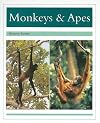 Monkeys and Apes
