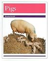 Pigs