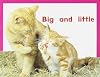 Big and Little