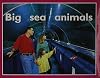 Big Sea Animals