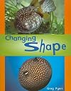 Changing Shape (Rigby Literacy: Level 9)