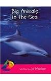 Big Animals in the Sea