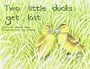 Two little Ducks Get Lost ;Grade 1: Rigby PM Plus Blue, Student Reader