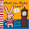 What Can Rabbit Hear?
