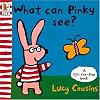 What Can Rabbit See?