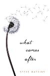What Comes After