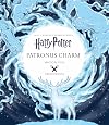 Harry Potter: Magical Film Projections: Patronus Charm