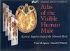 Atlas of the Visible Human Male: Reverse Engineering of the Human Body