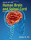 Atlas of the Human Brain and Spinal Cord