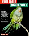 Guide to the Quaker Parrot