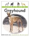 Living with a Greyhound
