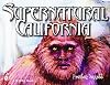 Supernatural California: A Golden State Guide to Ufos, Extraterrestrials, Ghosts, Hauntings, Cryptozoological Creatures, Psychics, Mediums, Miracles, Mystical Spots, Buried Tr