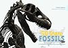 The 50 State Fossils: A Guidebook for Aspiring Paleontologists