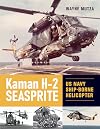 Kaman H-2 Seasprite: US Navy Shipborne Helicopter