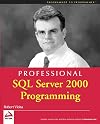 Professional SQL Server 2000 Programming
