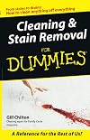 Cleaning & Stain Removal for Dummies