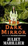 The Dark Mirror