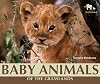 Baby Animals of the Grasslands