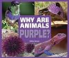 Why Are Animals Purple? (Rainbow of Animals)