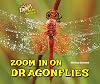 Zoom in on Dragonflies (Zoom in on Insects!)