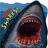 Sharks! (Know-It-Alls