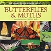 Butterflies & Moths (Dominie World of Invertebrates)