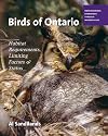 Nonpasserines shorebirds through woodpeckers