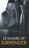 12 Shades of Surrender (12-in-1)