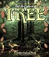 The Life Cycle of a Tree